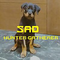 Sad Hunter-gatherer悲傷的採集者後代