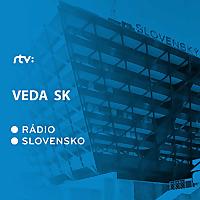Veda SK