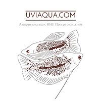UViAQUA.com