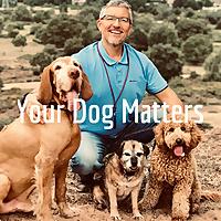 Your Dog Matters. With Dog Behaviourist Nick Jones MA.