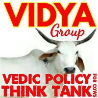 Vidya Group Podcast