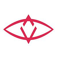 SingularDTV