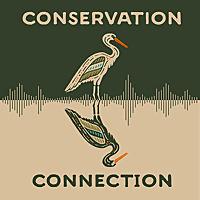 Conservation Connection