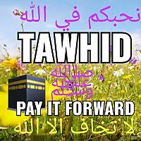AkhdarQ