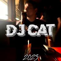Fiesta by Dj CAT