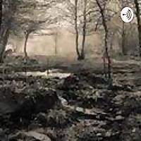 Peliculas antiguas de terror