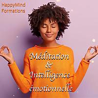 Gestion du stress par la pleine conscience et l'intelligence émotionnelle