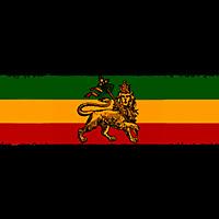 DJ Afrotronix - Roots Dub Outernational