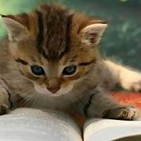 Reading With Phil
