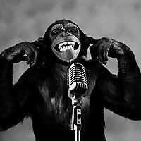 Living The Dream Live Sessions