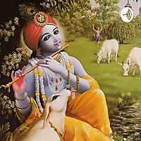 Krishna Das