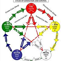 Learn Traditional Chinese Medicine, Functional Medicine and any kinds of Alternative Medicine