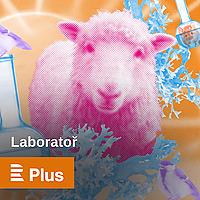Laboratoř