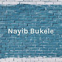 Nayib Bukele - Primer Presidente Milenial