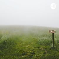 CERITA HORROR GUNUNG