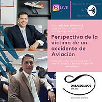 Perspectiva de la Victima de un Accidente de Aviación