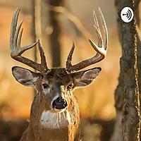 All Things Hunting