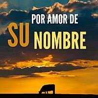 Por amor de Su Nombre