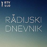 Radijski dnevnik