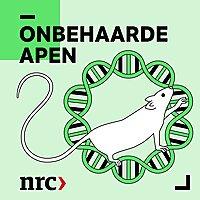 NRC Onbehaarde Apen
