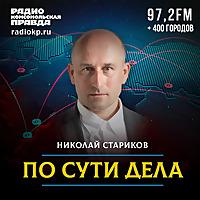 По сути дела. Николай Стариков