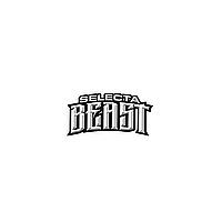 DJ SELECTA BEAST 🇬🇩