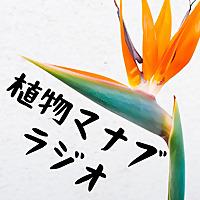 植物マナブラジオ