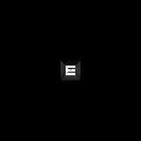 The Erratic Podcast
