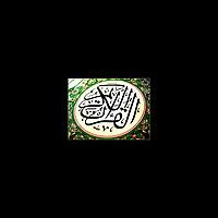 صلاح البدير