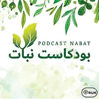 نبات | Nabat