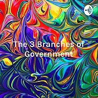 The 3 Branches of Government