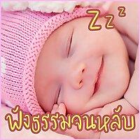 ฟังธรรมะก่อนนอน ใครชอบนอนฟังธรรมะแล้วหลับ จ