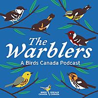 The Warblers by Birds Canada