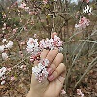 စိတ်သက်သာရာ ရလိုရငြားပေါ့