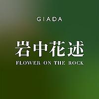 岩中花述