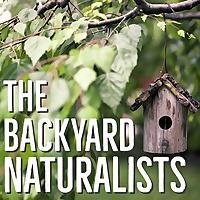 The Backyard Naturalists