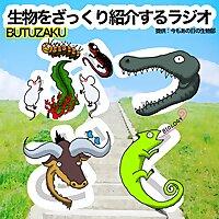 生物をざっくり紹介するラジオ　〜ぶつざく〜