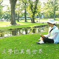 文學的異想世界