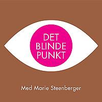 Det Blinde Punkt