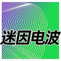 迷因电波