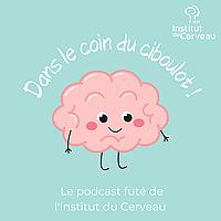 Dans le coin du ciboulot !