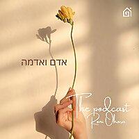 אדם ואדמה