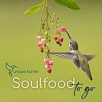 Soulfood to go