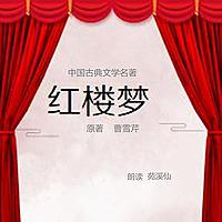 红楼梦原著 曹雪芹著（前八十回）