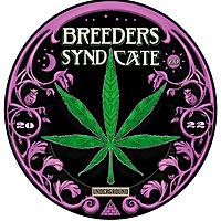 Breeders Syndicate 3.0