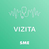 Vizita