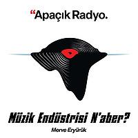 Müzik Endüstrisi Naber?