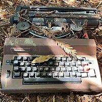 Beatniks Bumtrips Bullshit