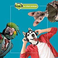 Petcast. Az állati podcast