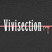 The MMA Vivisection Shows: 'Main Card Preview' & 'Prelims Card Preview'